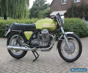 MOTO GUZZI V7 SPORT for Sale