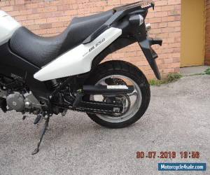 Motorcycle SUZUKI DL650 VSTROM 2010 ABS WHITE VERY CLEAN BIKE READY 2 ENJOY CHEAP ADVENTURE for Sale