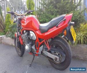 Motorcycle SUZUKI GSF 600 BANDIT (1998) LIGHT DAMAGE - REPAIR PROJECT - IDEAL STREETFIGHT for Sale