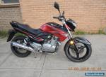 SUZUKI GW250 INAZUMA 2015 MODEL WITH 5664KMS LIKE NEW LAMS APPROVED LEARNER 250c for Sale