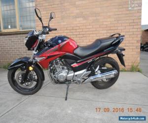 Motorcycle SUZUKI GW250 INAZUMA 2015 MODEL WITH 5664KMS LIKE NEW LAMS APPROVED LEARNER 250c for Sale