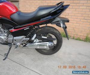 Motorcycle SUZUKI GW250 INAZUMA 2015 MODEL WITH 5664KMS LIKE NEW LAMS APPROVED LEARNER 250c for Sale