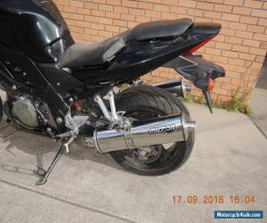 Motorcycle SUZUKI SV1000S V TWIN BLACK RUNS RIDES WELL MICRON EXHAUST CHEAP 1000cc VTR TLR for Sale