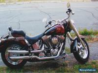 2004 Harley-Davidson Softail