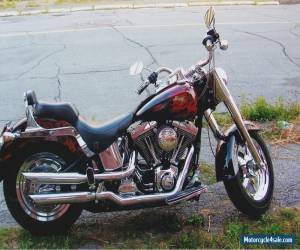 2004 Harley-Davidson Softail for Sale