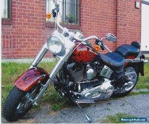 Motorcycle 2004 Harley-Davidson Softail for Sale