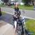 2003 Harley-Davidson Sportster for Sale