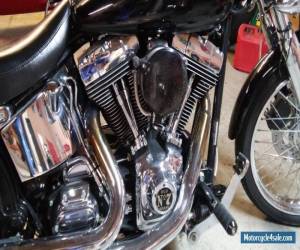 Motorcycle 2002 Harley-Davidson Softail for Sale