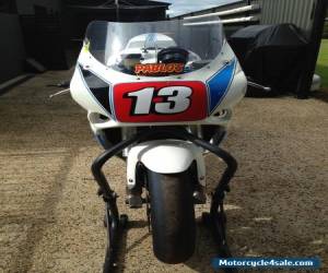 Motorcycle suzuki gsxr 1100 period 6 historic race track bike circuit  for Sale