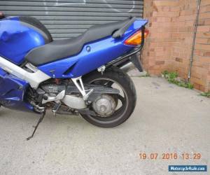 Motorcycle HONDA VFR800 2001 MODEL BLUE RUNS GREAT NEEDS SOME COSMETIC REPAIR CHEAP for Sale