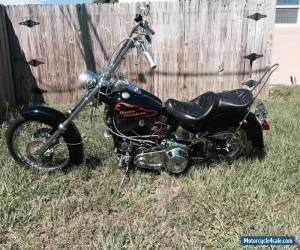 Motorcycle 1964 Harley-Davidson Panhead flh for Sale