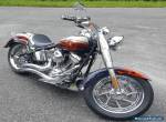 2006 Harley-Davidson Softail for Sale