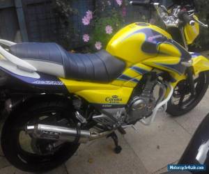 suzuki gw 250 for Sale