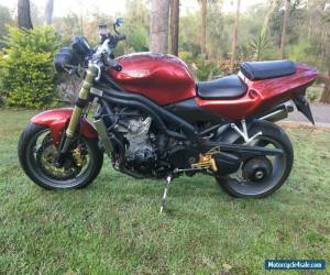 Motorcycle Triumph Daytona 955i naked,2006 model 38,000k,s RWC 955 for Sale