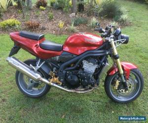 Motorcycle Triumph Daytona 955i naked,2006 model 38,000k,s RWC 955 for Sale