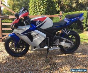 Motorcycle Honda CBR600RR Fireblade - 2006 for Sale