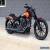 2015 Harley-Davidson Softail for Sale