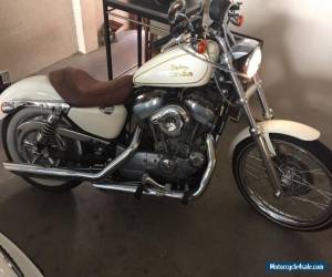 Harley Davidson for Sale