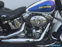 2010 Harley-Davidson Softail