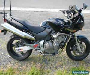 Motorcycle Honda 600 cc Hornet 2000 model reg till 09/15 great value for Sale