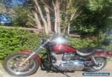 2008 Harley-Davidson Dyna for Sale