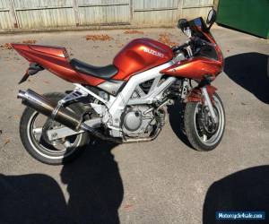 Suzuki SV650. Bronze. Long MOT! Low price! for Sale