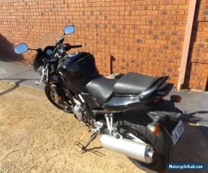 Motorcycle SUZUKI SV 1000 S 2007 Runs and rides Magnificent   Value @ $2497.50 for Sale