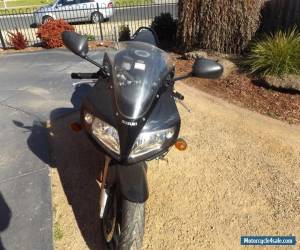 Motorcycle SUZUKI SV 1000 S 2007 Runs and rides Magnificent   Value @ $2497.50 for Sale