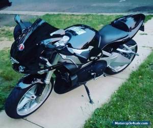 Motorcycle 2003 Harley-Davidson Buell for Sale