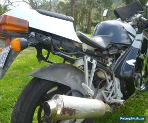 Motorcycle Honda 1987 250 CBR Fireblade for Sale