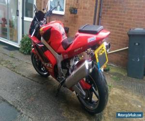 Motorcycle Honda VTR1000 SP1, sp1, SP 1, VTR 1000 for Sale