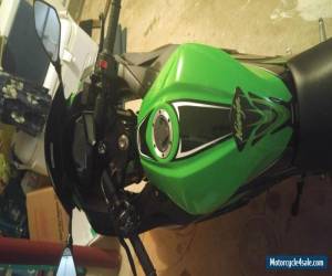 Motorcycle 2013 Kawasaki Ninja for Sale