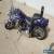 1998 Harley-Davidson Softail for Sale