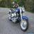 2010 Harley-Davidson Softail for Sale