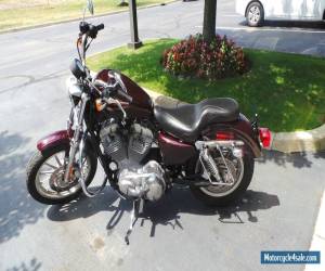 Motorcycle 2006 Harley-Davidson Sportster for Sale