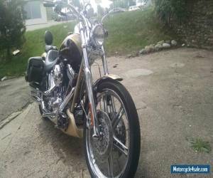 Motorcycle 2003 Harley-Davidson Softail for Sale