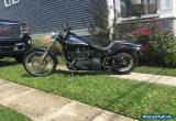 2003 Harley-Davidson Softail for Sale