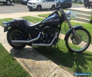 Motorcycle 2003 Harley-Davidson Softail for Sale