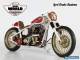 HARLEY DAVIDSON SOFTAIL "ENVY" 5th Place at World Championship IN STOCK! for Sale