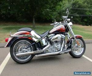 Motorcycle 2006 Harley-Davidson Softail for Sale