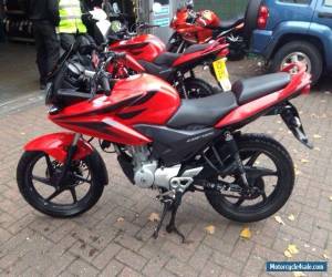 Motorcycle 2010 HONDA CBF 125 M-A RED for Sale