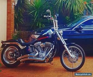 Motorcycle 2008 Harley Davidson Softail Standard FXST  for Sale