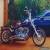 2008 Harley Davidson Softail Standard FXST  for Sale