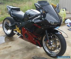 Motorcycle 2003 LIMITED EDITION YAMAHA R6 CUSTOM for Sale