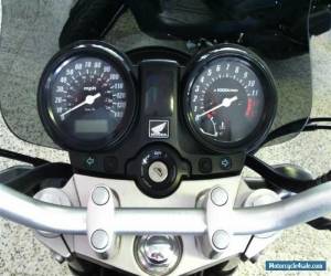 Motorcycle 2004 Honda CBF600 for Sale