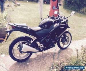 Motorcycle Honda CBR250R ABS for Sale