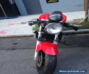 Motorcycle 2006 Suzuki SV for Sale