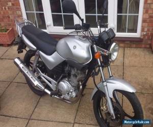 Motorcycle Yamaha YBR 125cc Motor Cycle for Sale