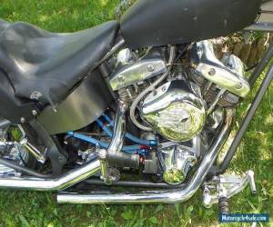 Motorcycle 1978 Harley-Davidson Softail for Sale