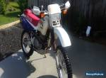 Honda XR600R for Sale